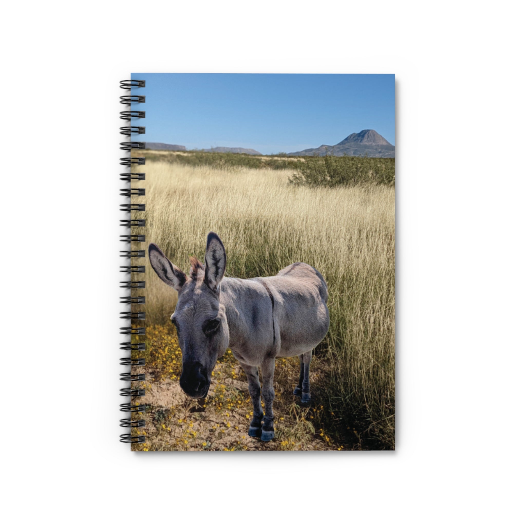 Donkey Spiral Notebook