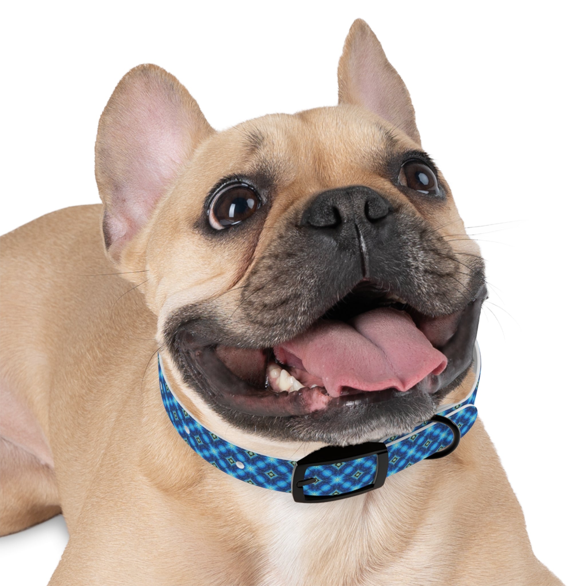 Miakoda Dog Collar
