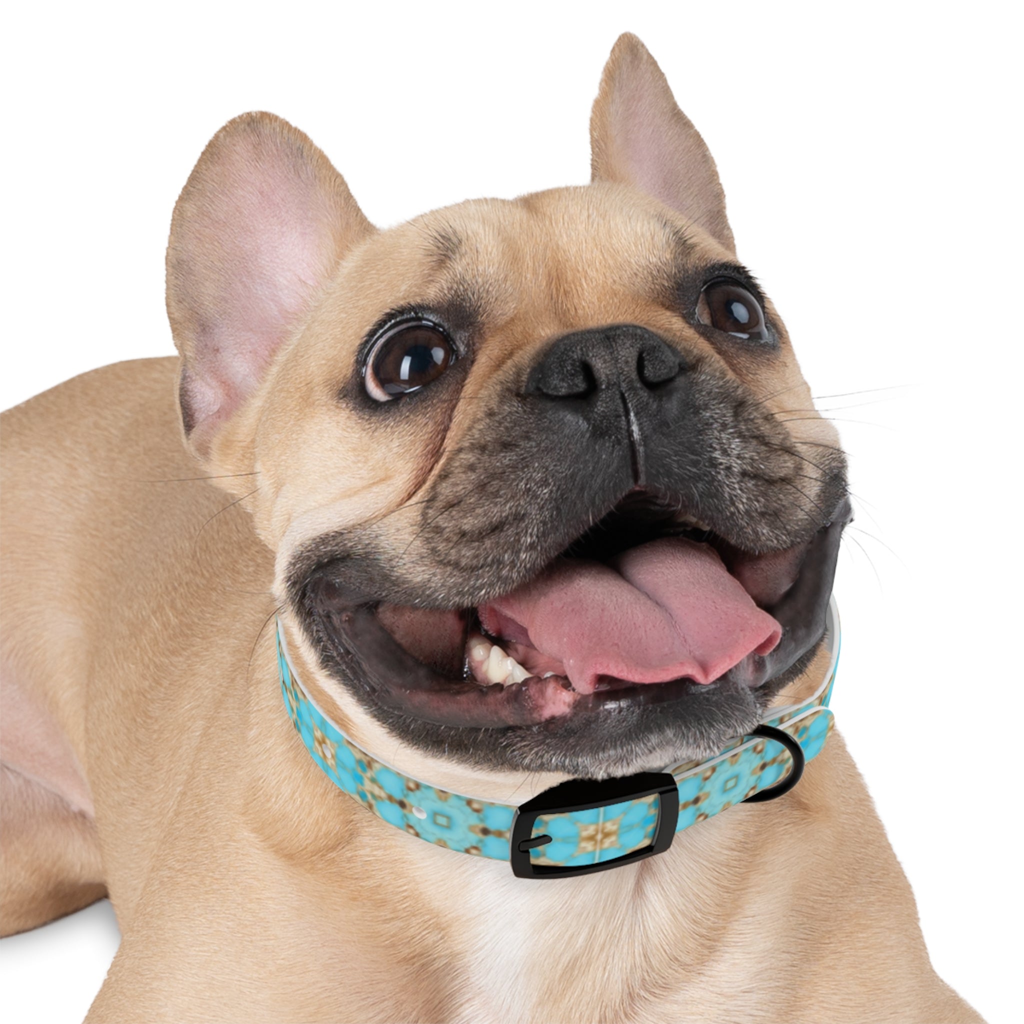 Yareli Dog Collar