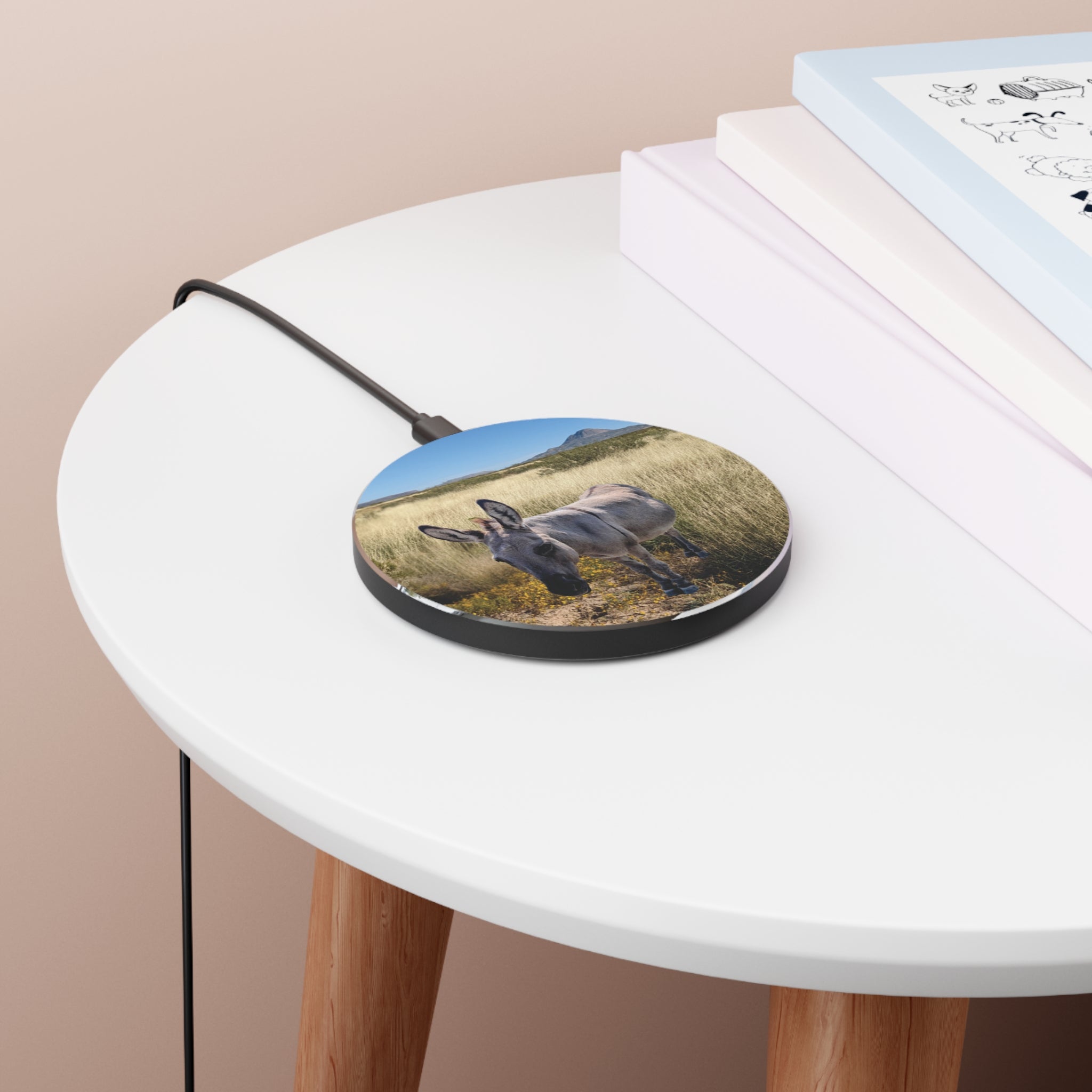 Donkey Wireless Charger