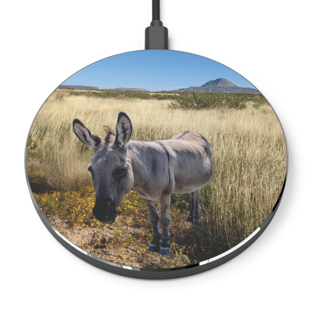 Donkey Wireless Charger
