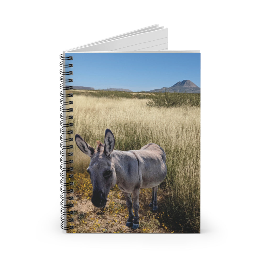 Donkey Spiral Notebook