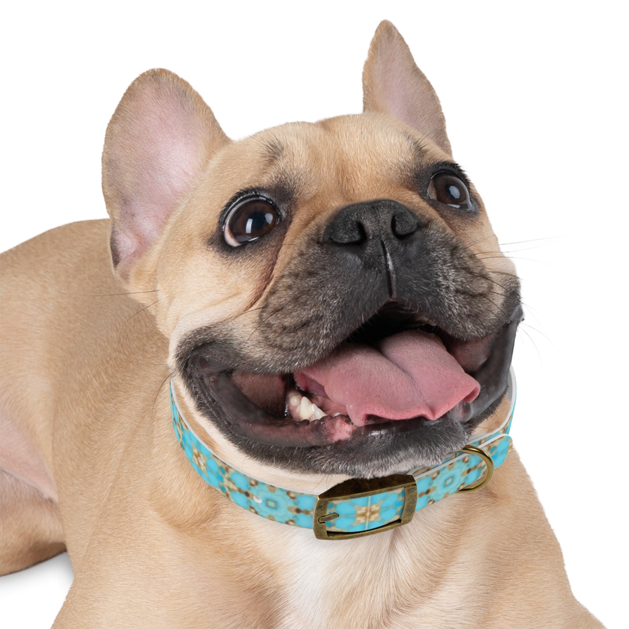 Yareli Dog Collar