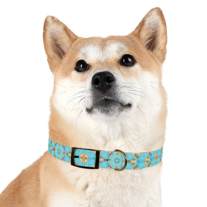 Yareli Dog Collar