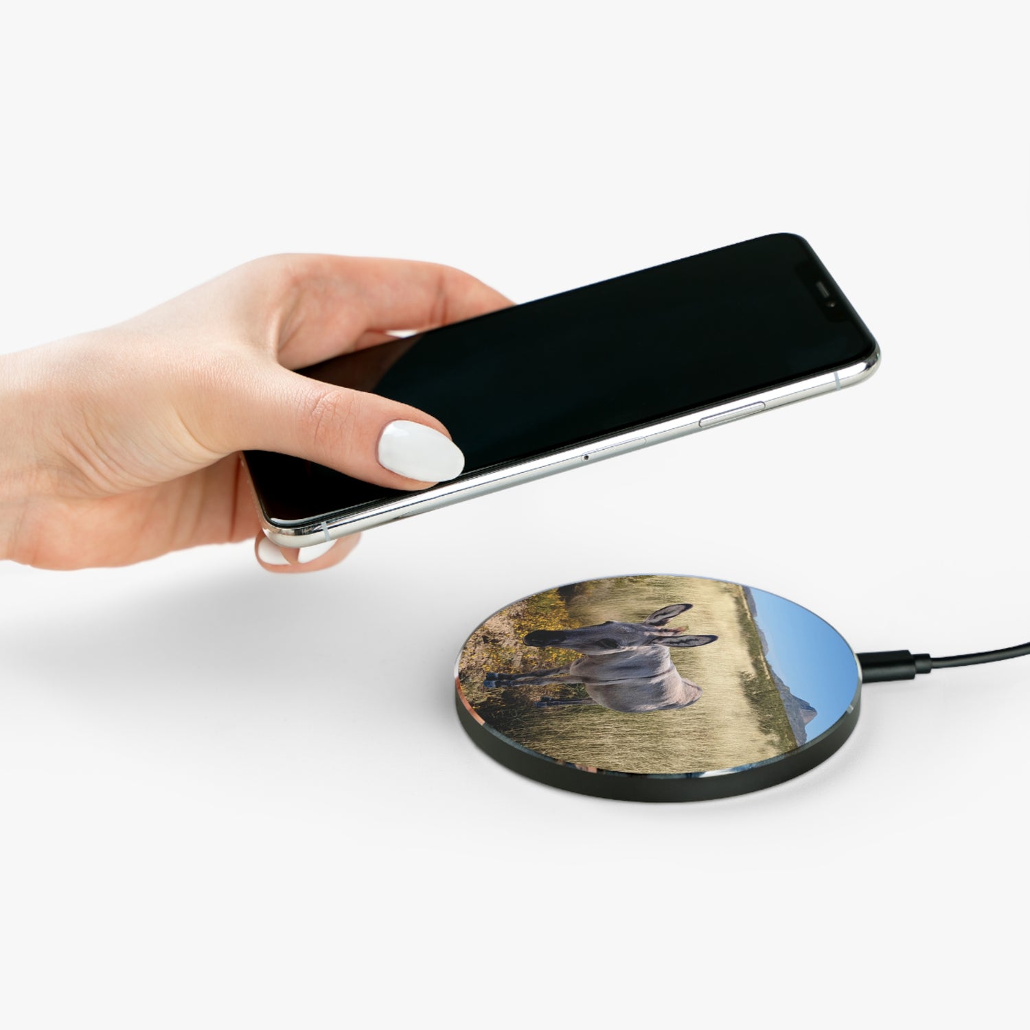 Donkey Wireless Charger