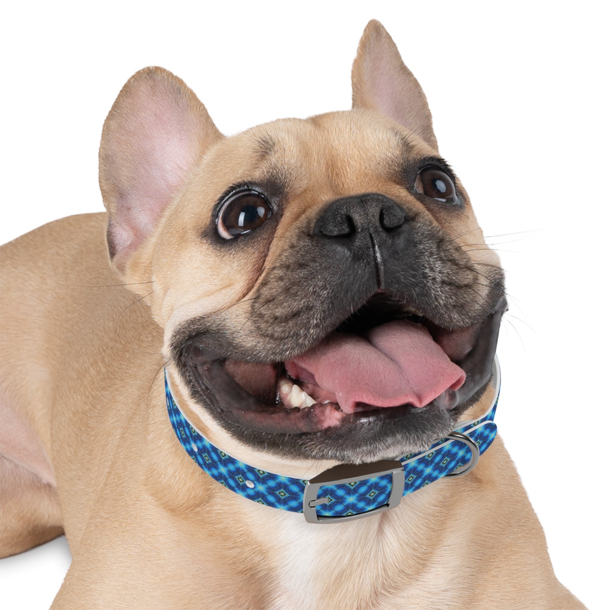 Miakoda Dog Collar